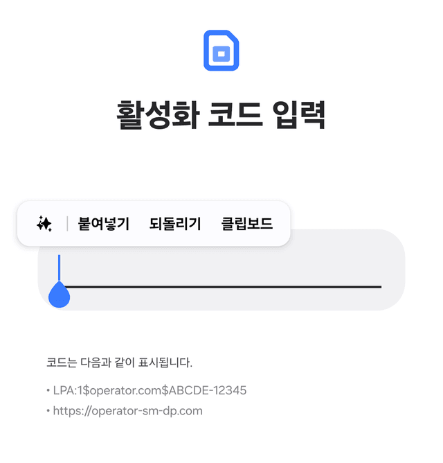 활성화 코드 붙여넣기