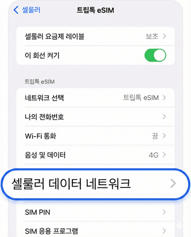 셀룰러 데이터 네트워크