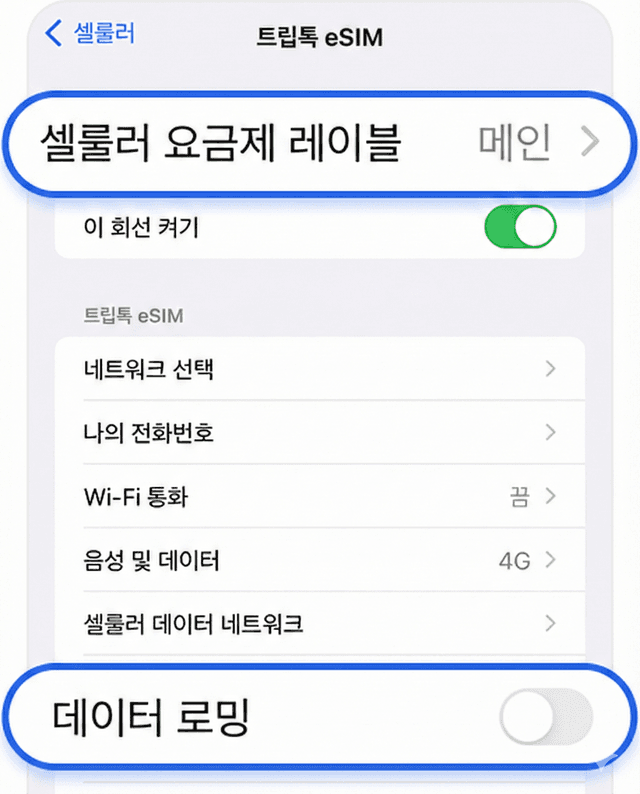 메인 데이터 로밍 OFF