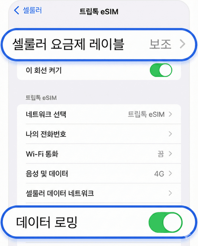 eSIM 데이터 로밍 ON