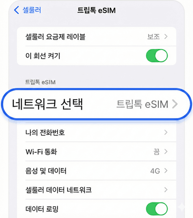 네트워크 선택