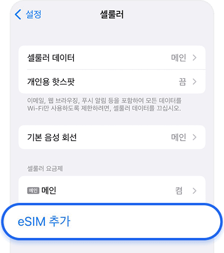 eSIM 추가