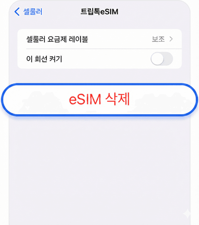 eSIM 삭제