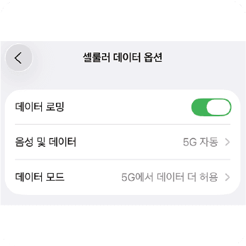 데이터 로밍 설정
